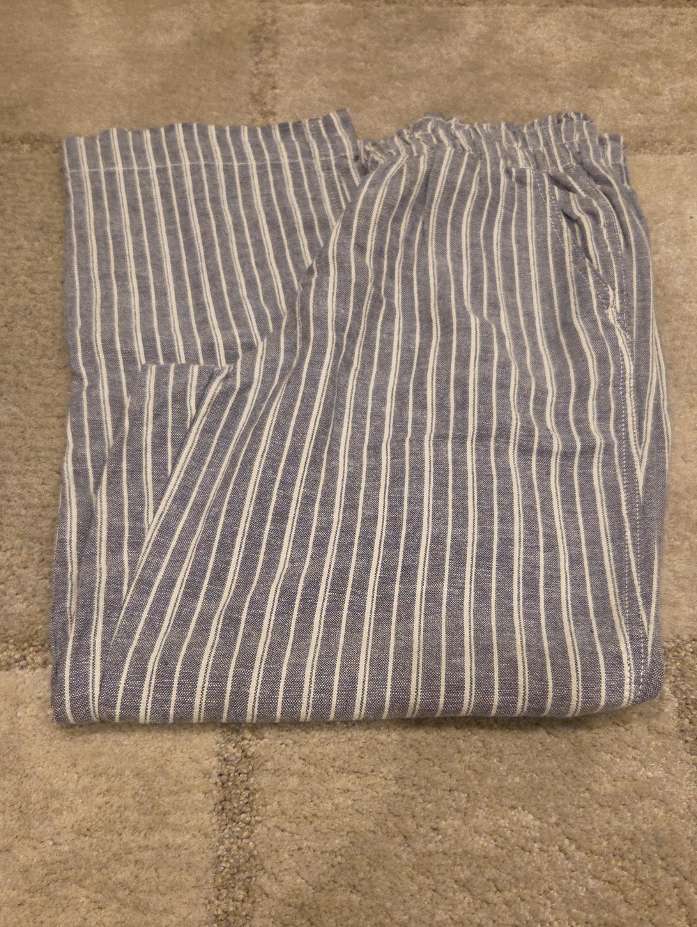 Briggs Blue and White Striped Women's Pants